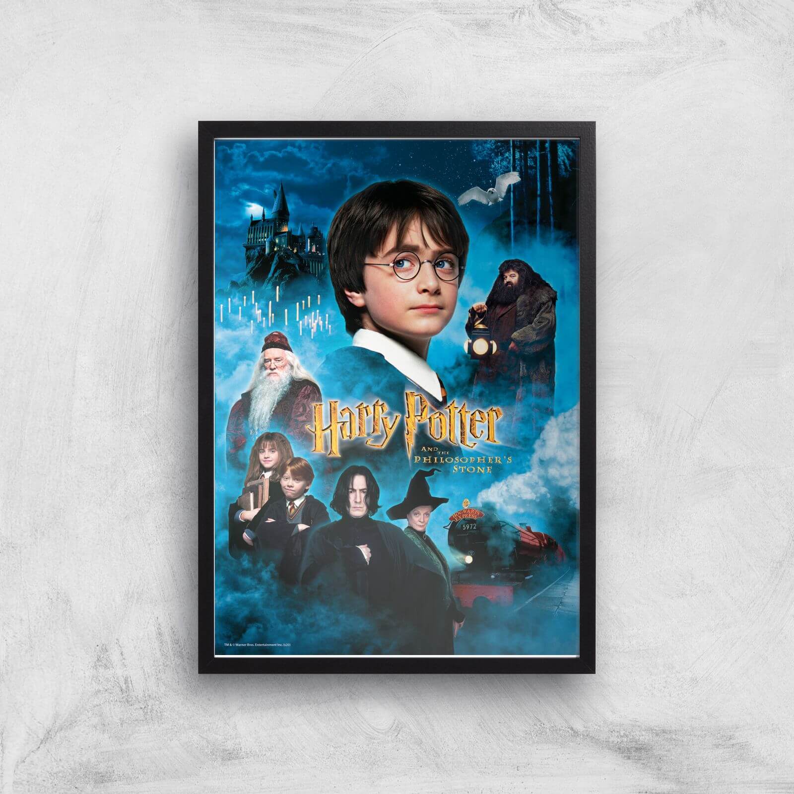 Harry Potter and the Philosopher's Stone Giclee Art Print - A2 - Black Frame
Harry Potter and the Philosopher's Stone Giclee Art Print - A2 - Black Frame