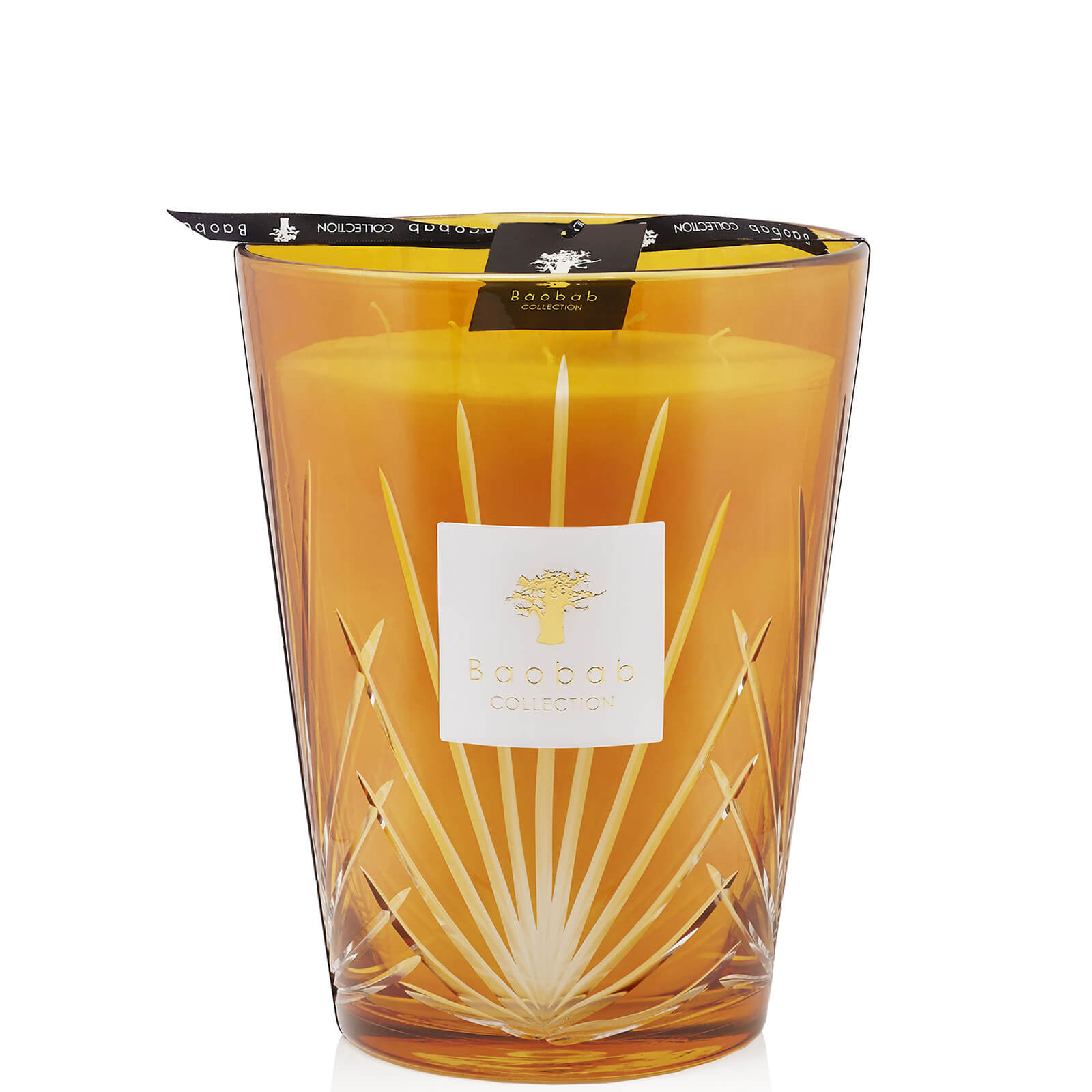 Baobab Collection Palm Palma Candle (Various Sizes) - 5000g