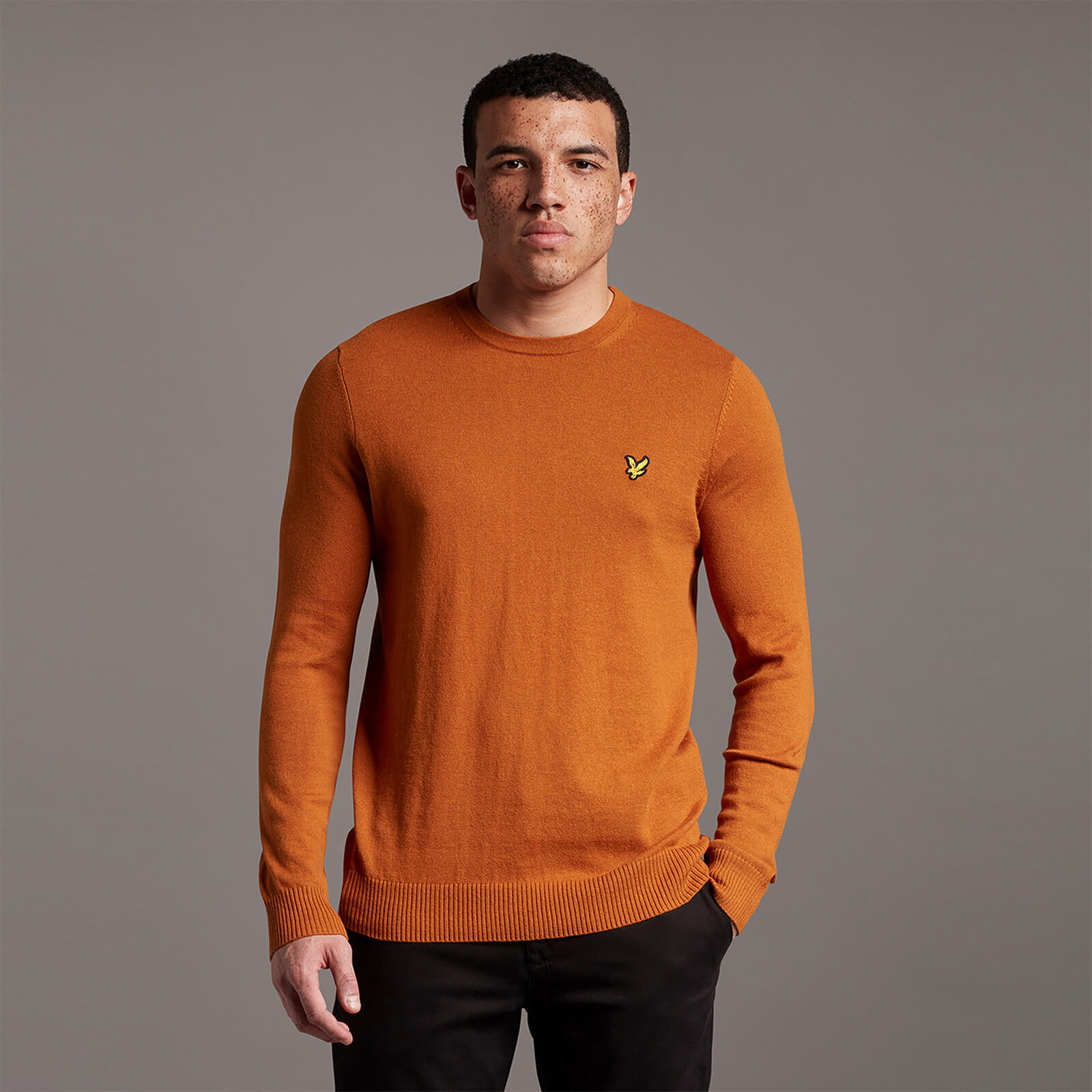 Cotton Merino Crew Jumper - Cider Brown - M