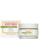 Burts Bees Sensitive Night Cream 50g