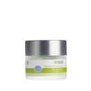 Click to view product details and reviews for Mychelle Pumpkin Renew Cream Unscented.