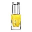 Click to view product details and reviews for Leighton Denny International Collection High Performance Colour Passport To Shine.