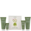 Click to view product details and reviews for Aveda Tourmaline Charged Skincare Starter Kit 4 Products.