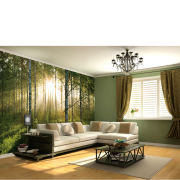 Forest Scene Wall Mural