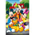 Euro Price - 6.89. RRP Euros - 5.51.