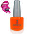 Euro Price - 11.79. RRP Euros - 14.49.