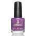 Euro Price - 12.79. RRP Euros - 14.49.
