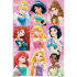 Maxi poster featuring a compliation of the classic Disney princesses.'