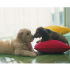 Euro Price - 2.75. RRP Euros - 2.75.