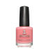 Euro Price - 11.79. RRP Euros - 14.49.