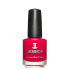 Euro Price - 11.79. RRP Euros - 14.49.
