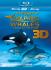 Dive into an immersive and highly emotional adventure.  Presented by Jean-Michel Cousteau  Dolphins and Whales 3D: Tribes of the Ocean is an awe-inspiring and entertaining film. Narrated by Daryl Hannah it takes you from the dazzling coral reefs of the bahamas to the warm depths of the waters of the exotic kingdom of tonga for a close encounter with the surviving tribes of the ocean. Through stunning images captured for the very first time in 3D  view their lives and habitats as never-before-seen. Come so close to wild dolphins and belugas you will virtually touch them!  To watch the 3D version of this movie  you need:    Full HD 3D TV   Blu-ray 3D player   compatible 3D glasses.T  his disc also includes the 2D version  playable on all blu-ray players.