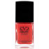 Euro Price - 12.75. RRP Euros - 16.56.