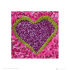Euro Price - 8.29. RRP Euros - 11.03.