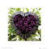 Euro Price - 8.29. RRP Euros - 11.03.