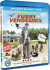 Euro Price - 31.75. RRP Euros - 31.73.
