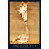 Euro Price - 4.15. RRP Euros - 5.51.