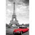 Black and white poster featuring a girl skipping through the French capital city Paris.
