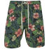 Euro Price - 13.79. RRP Euros - 35.88.
