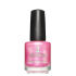 Euro Price - 11.59. RRP Euros - 14.49.