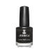 Euro Price - 10.79. RRP Euros - 13.45.