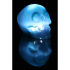 Euro Price - 20.75. RRP Euros - 20.70.