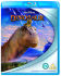 Euro Price - 19.35. RRP Euros - 36.56.