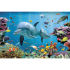 Euro Price - 6.89. RRP Euros - 5.51.