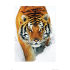 Euro Price - 15.19. RRP Euros - 20.69.