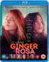 Euro Price - 10.65. RRP Euros - 27.59.