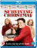 It's madness  mischief and mayhem when rich executive Drew Latham (Ben Affleck) decides to rent himself a family for the holidays. Tired of spending Christmas alone  Drew makes the Valcos (James Gandolfini  Christina Applegate and Catherine O'Hara) an offer they should have refused. Now their annoying guest and his outrageous demands are turning their Noel into a nightmare in this hilarious slapstick comedy that puts the fun in family dysfunction.