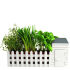 This stylish miniature allotment brings an outdoor environment indoors. Many of us live in built up city environments  so it's sometimes hard to take the time to enjoy the outdoors or grow your own produce. Ideal for anyone who's green fingered  you can start growing your own herbs with this stylish set which contains: a little wooden shed  and three miniature plant pots surrounded by a white picket fence and featuring drainage trays for you to grow your own herbs. Even the shed roof and door open  here you can store the 3 soil pellets  3 packs of seeds (coriander  basil  oregano) and herb snips which you can use to cut your fresh herbs  then add them to your cooking or salads. This set contains everything you need to begin growing your own mini allotment and is small enough to be kept on a windowsill. - A.D.  Features:    Mini Indoor allotment  Grow your own herbs  Three miniature plant pots with draining trays  3 x soil pellets  3 x packs of seeds:  Coriander (average contents 50 seeds)  Basil (average contents 200 seeds)  Oregano (average contents 100 seeds    Dimensions: H:19 x W:42 x D:15.5cm