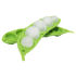 Euro Price - 9.65. RRP Euros - 13.79.