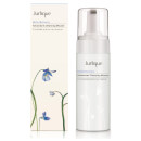 Click to view product details and reviews for Jurlique Herbal Recovery Antioxidant Cleansing Mousse 150ml.