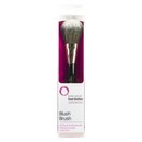 Click to view product details and reviews for Look Good Feel Better Blush Brush.