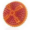 Click to view product details and reviews for Clarisonic Brush Head Pedi Wet Dry 10 Pack.