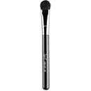 Click to view product details and reviews for Sigma E50 Large Fluff Brush.