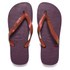 Euro Price - 35.89. RRP Euros - 35.88.