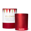 Kit: Frangipani Glow Candle
