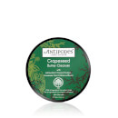 Grapeseed Butter Face Cleanser 75g Grapeseed Butter Face Cleanser 75g