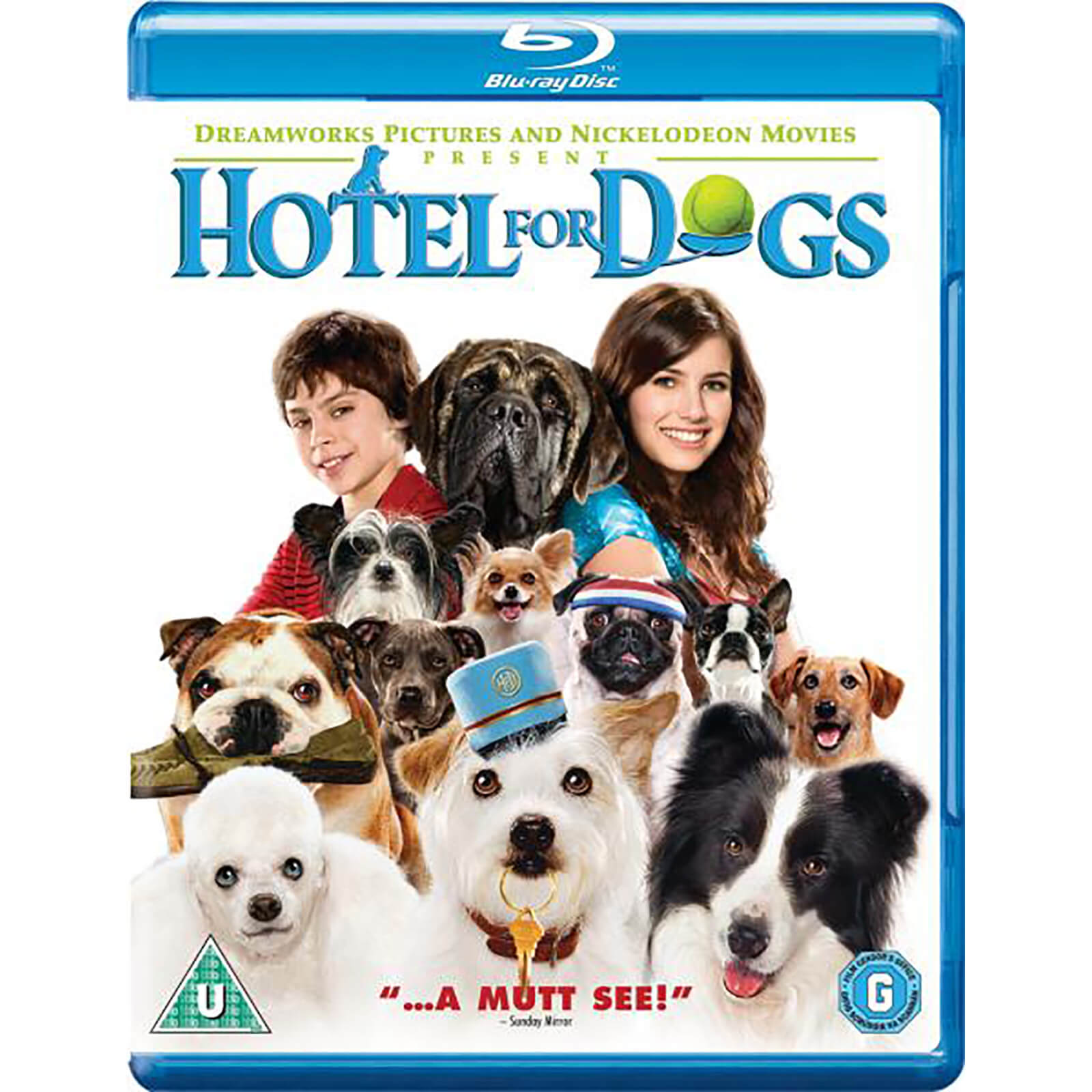 Hotel für Hunde