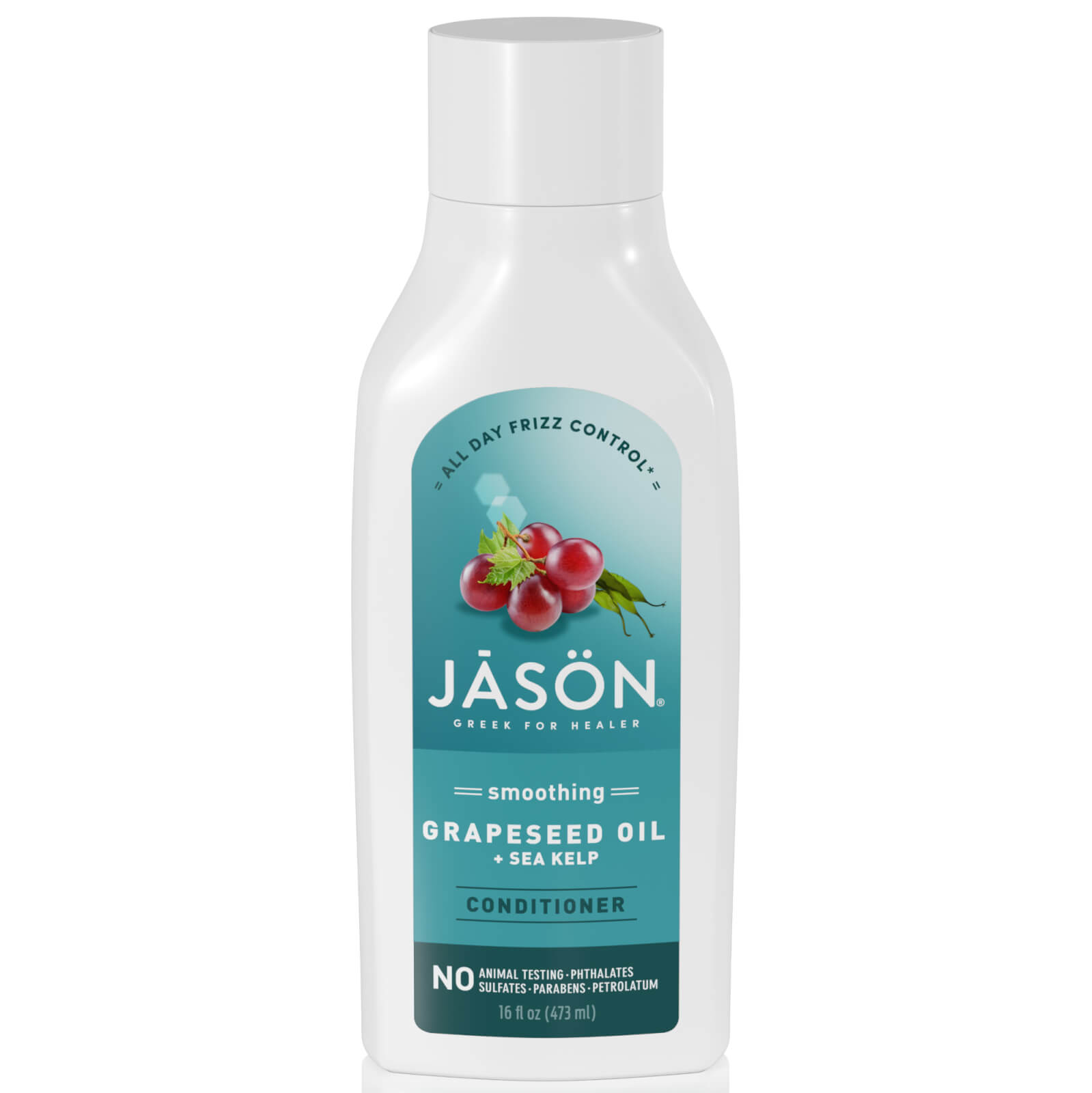 

JASON Hair Care Sea Kelp and Porphyra Algae Conditioner 454ml