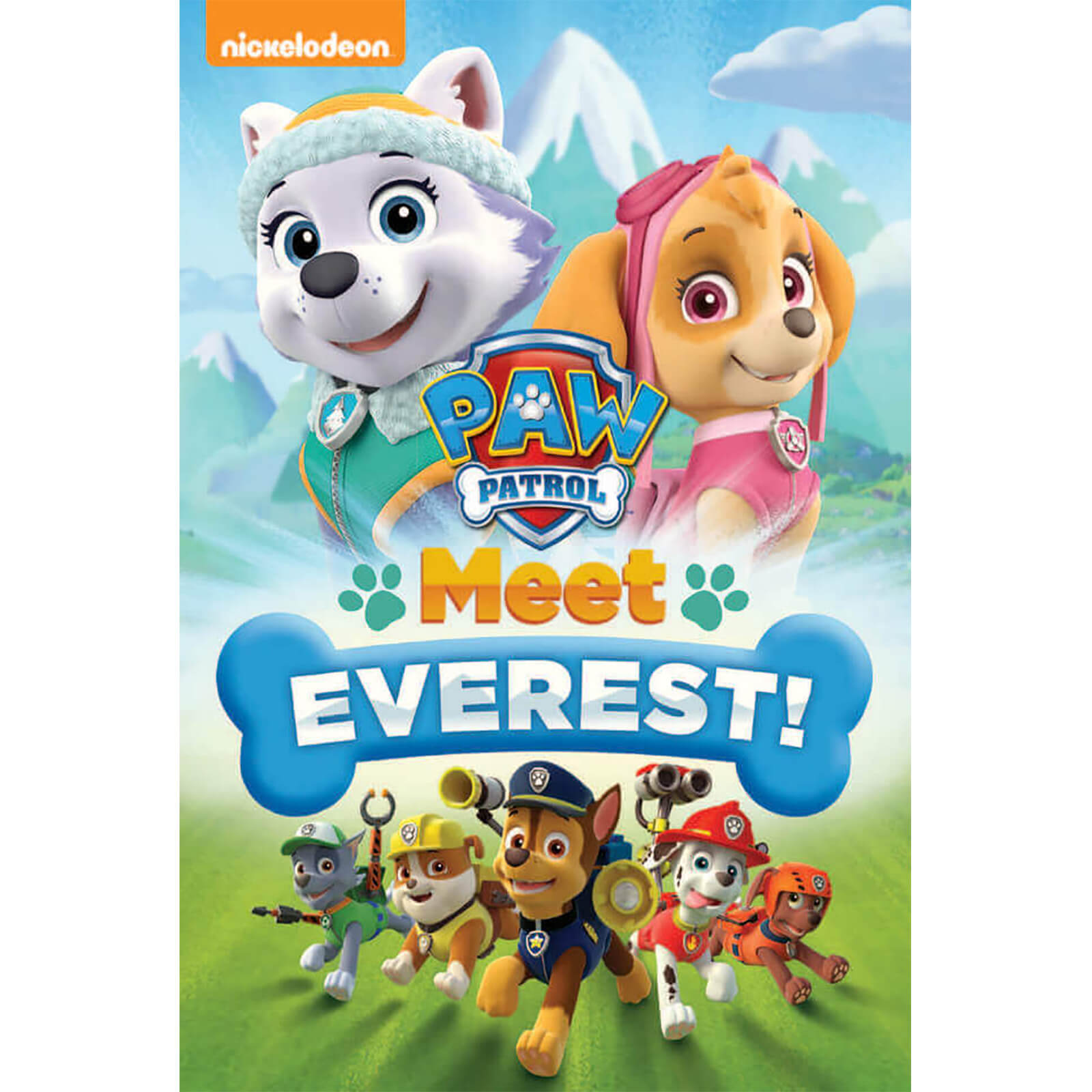 Paw Patrol: Meet Everest!