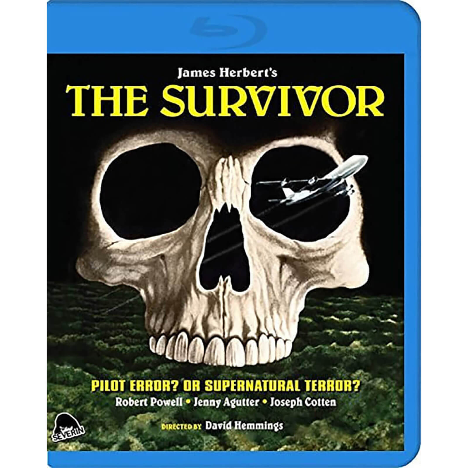 The Survivor