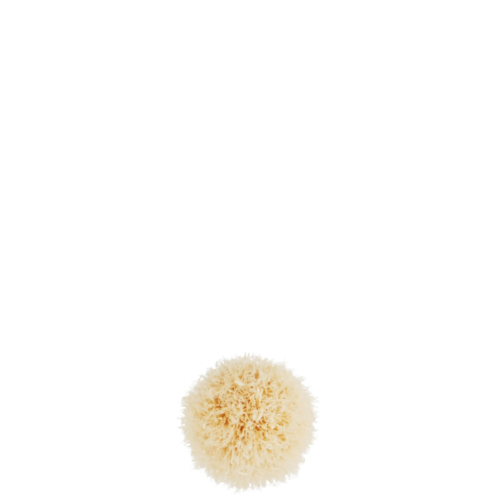 Thumbnail - MAC 221S Mini Tapered Blending Brush