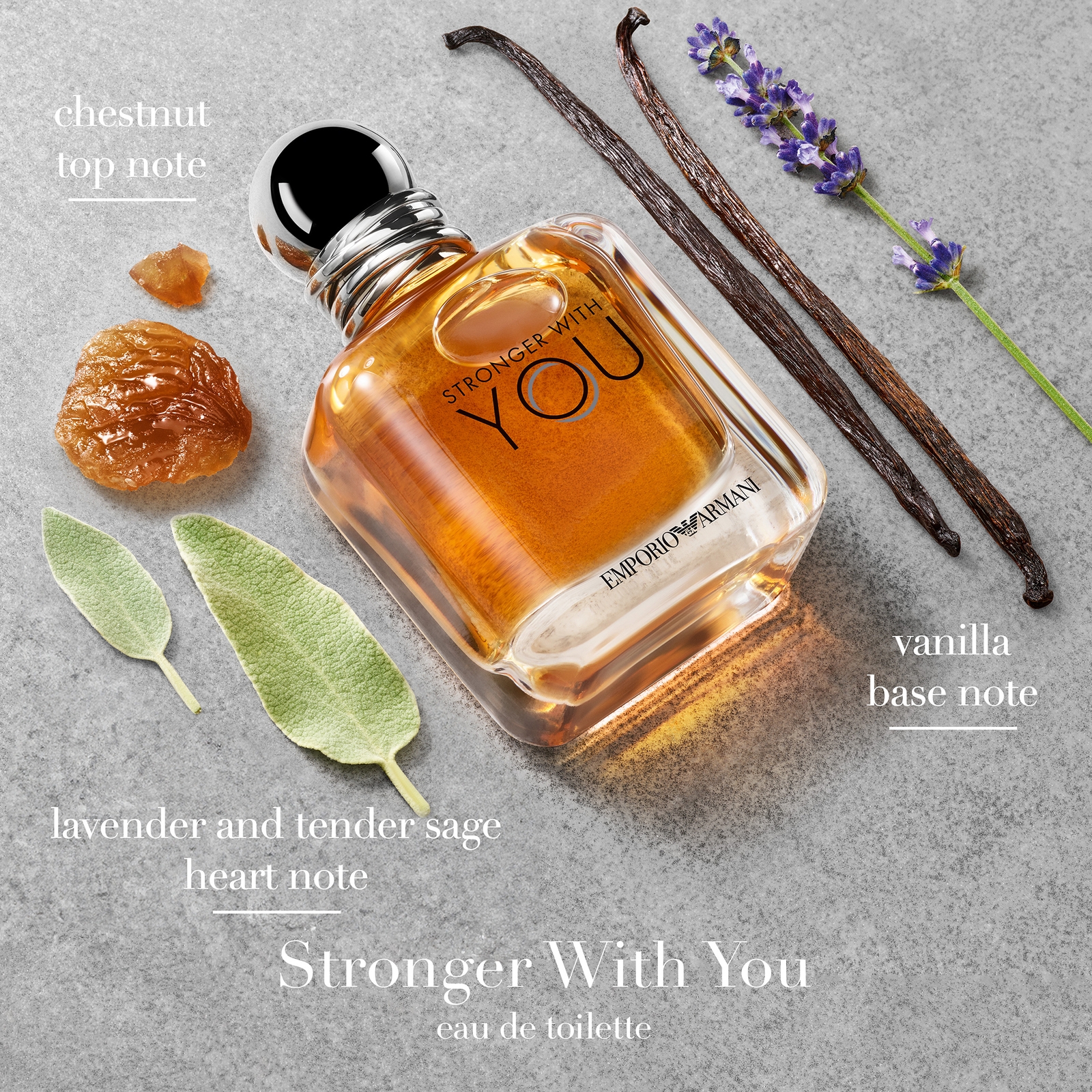 Armani Stronger With You Eau de Toilette 100ml