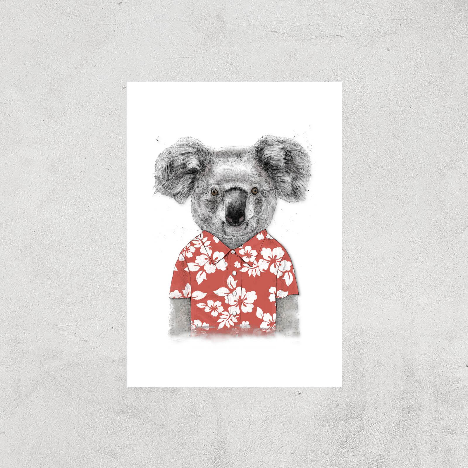 Balazs Solti Koala Bear Art Print - A4 - Print Only