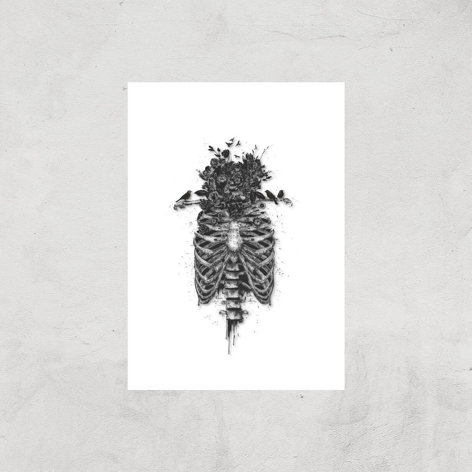 Balazs Solti Skulls and Flowers Art Print - A3 - Print Only