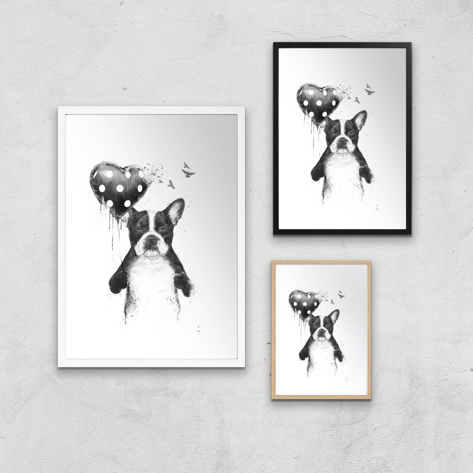 Balazs Solti Bulldog and Balloon Art Print - A2 - Black Frame