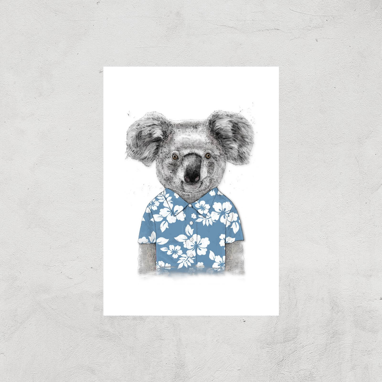 Balazs Solti Koala Bear Art Print - A4 - Print Only